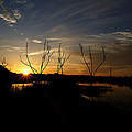 Watching Sunrise
