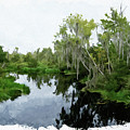 Bull Frog Creek